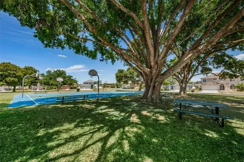 25841 Crippen Drive Land O Lakes FL 34639