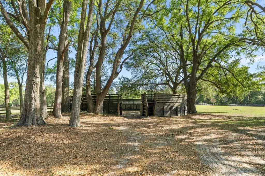 16525 SW 5th Place Newberry FL 32669