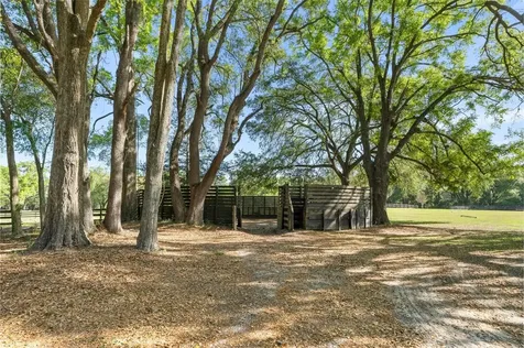 16525 SW 5th Place Newberry FL 32669