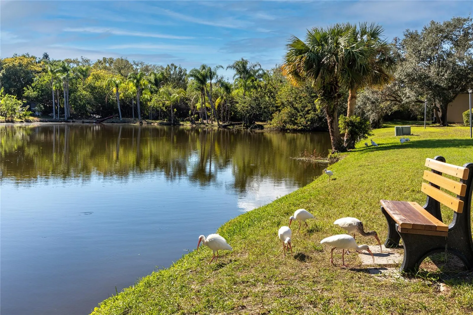 4215 E Bay Drive Clearwater FL 33764