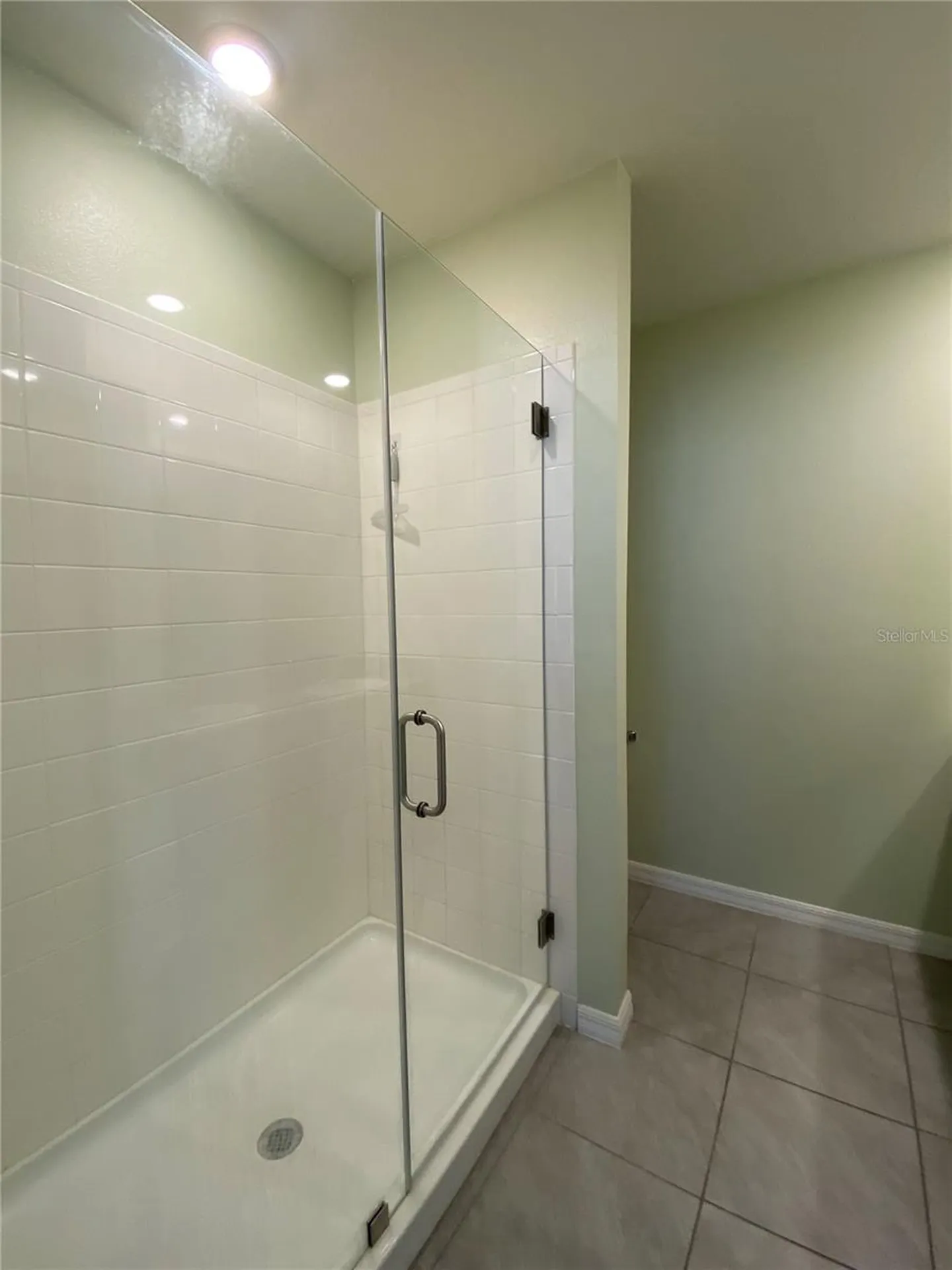 33801 Jasmine Star Loop Wesley Chapel FL 33543