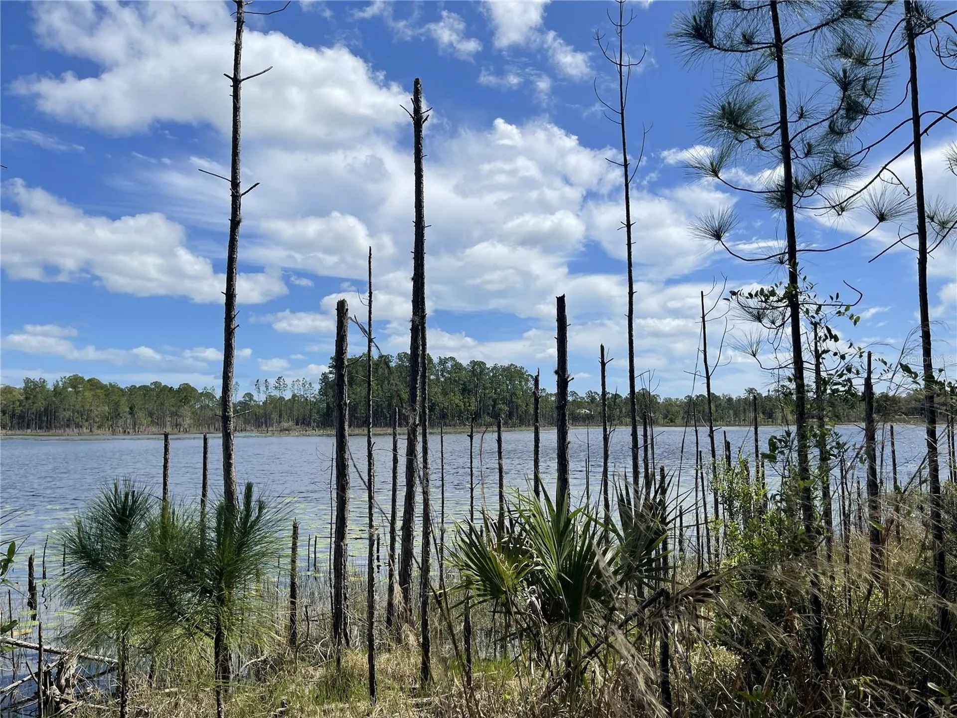 Sheryl Drive Deltona FL 32738