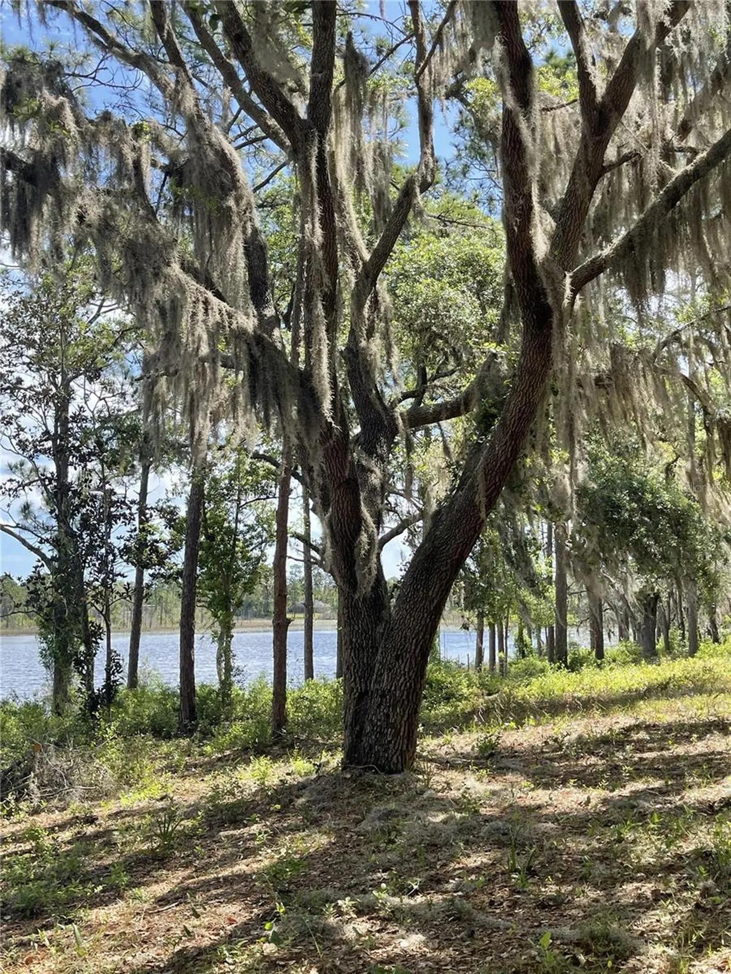 Sheryl Drive Deltona FL 32738