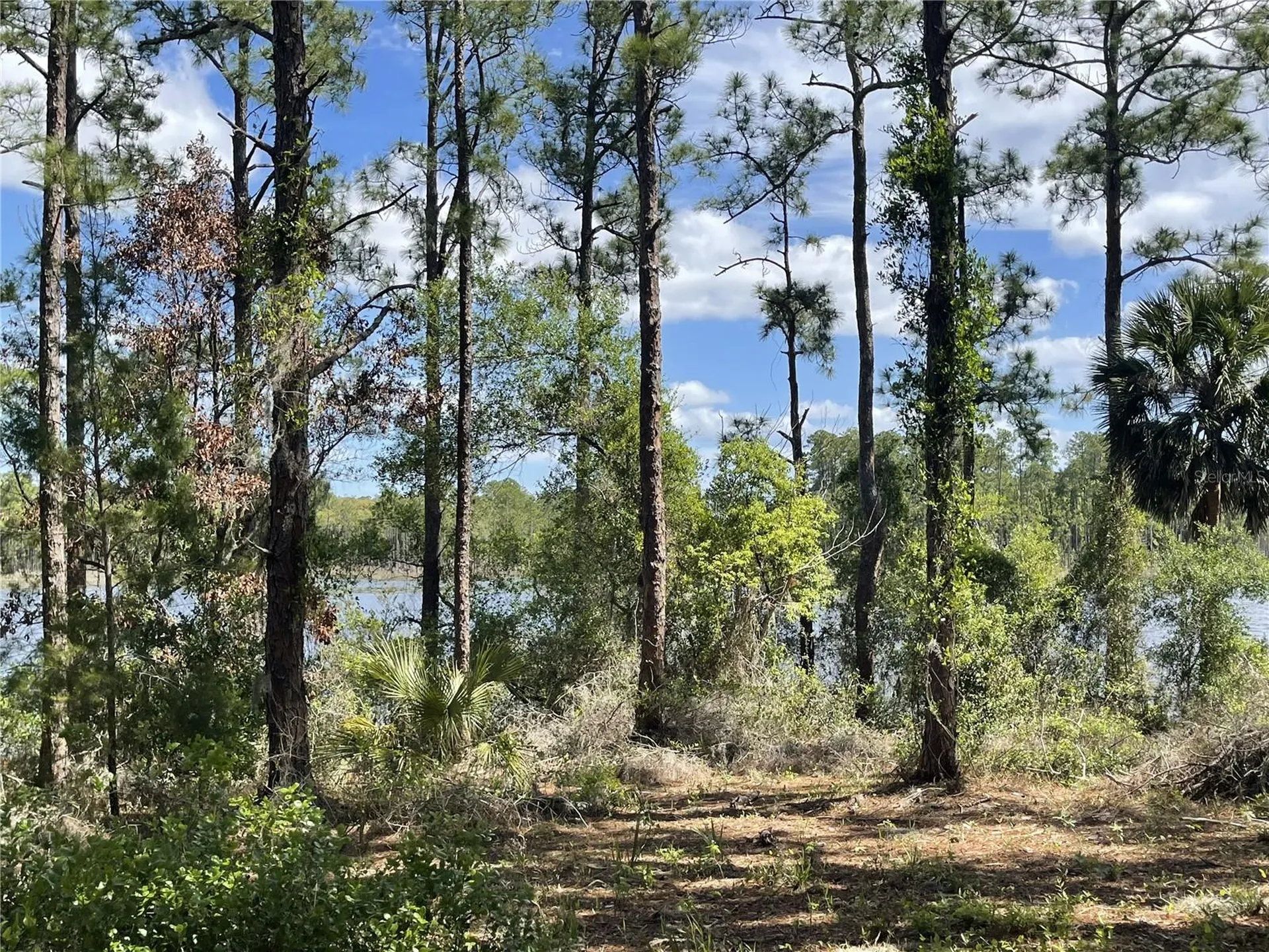 Sheryl Drive Deltona FL 32738