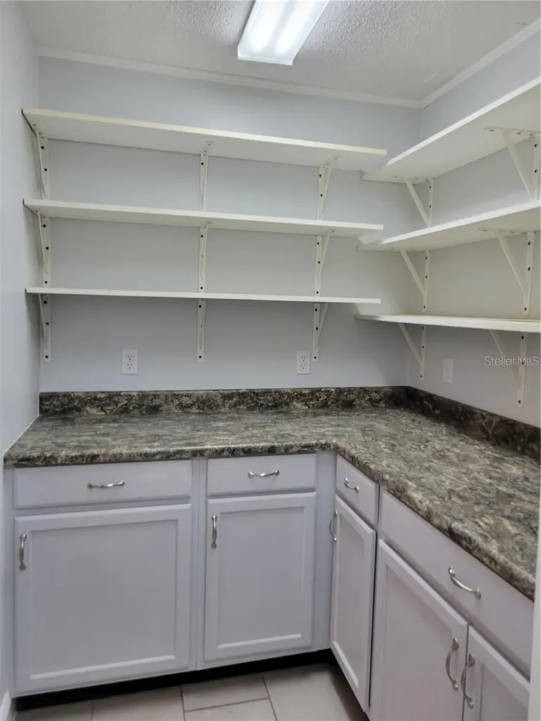 807 Mclain Court Tavares FL 32778