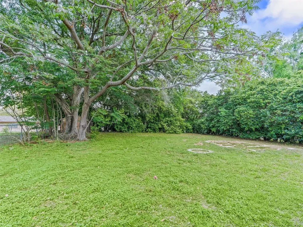 911 Jacaranda Drive Lady Lake FL 32159