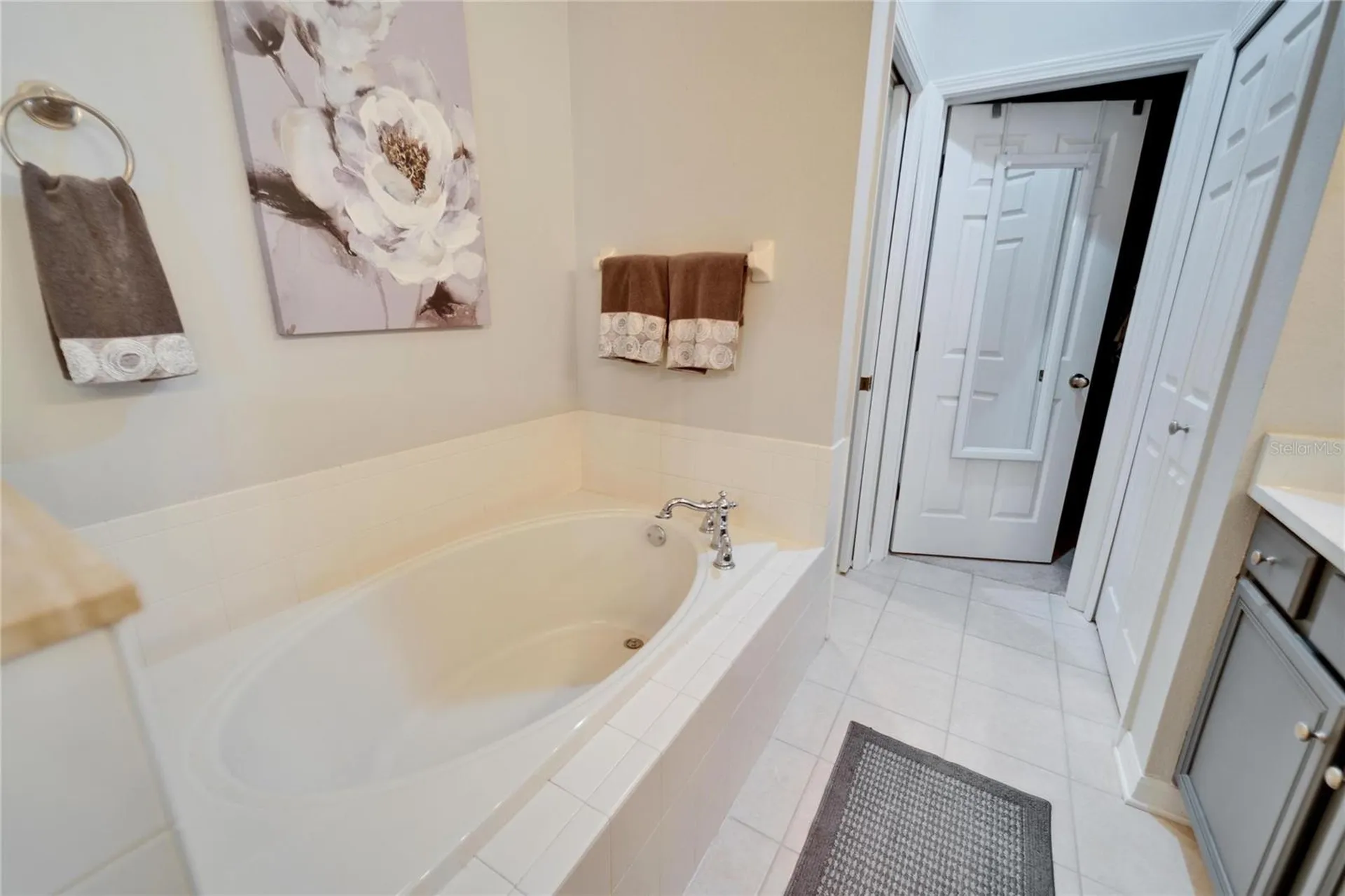 221 Sela Cove Circle Apollo Beach FL 33572