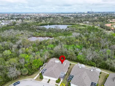 221 Sela Cove Circle Apollo Beach FL 33572