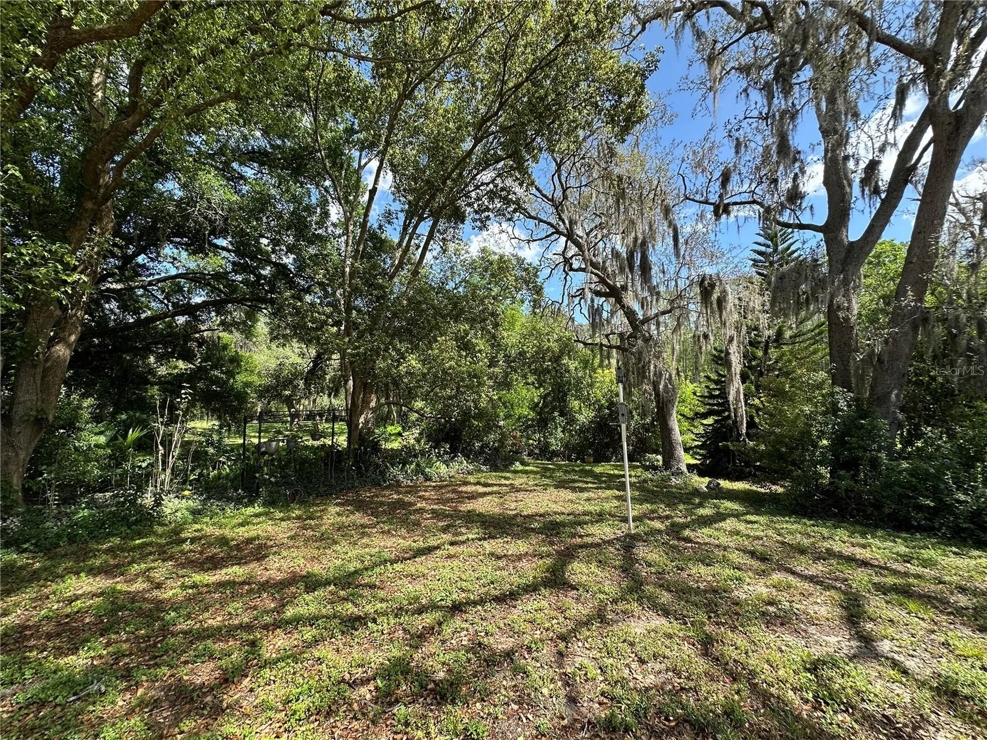 8809 Avondale Lane Hudson FL 34667