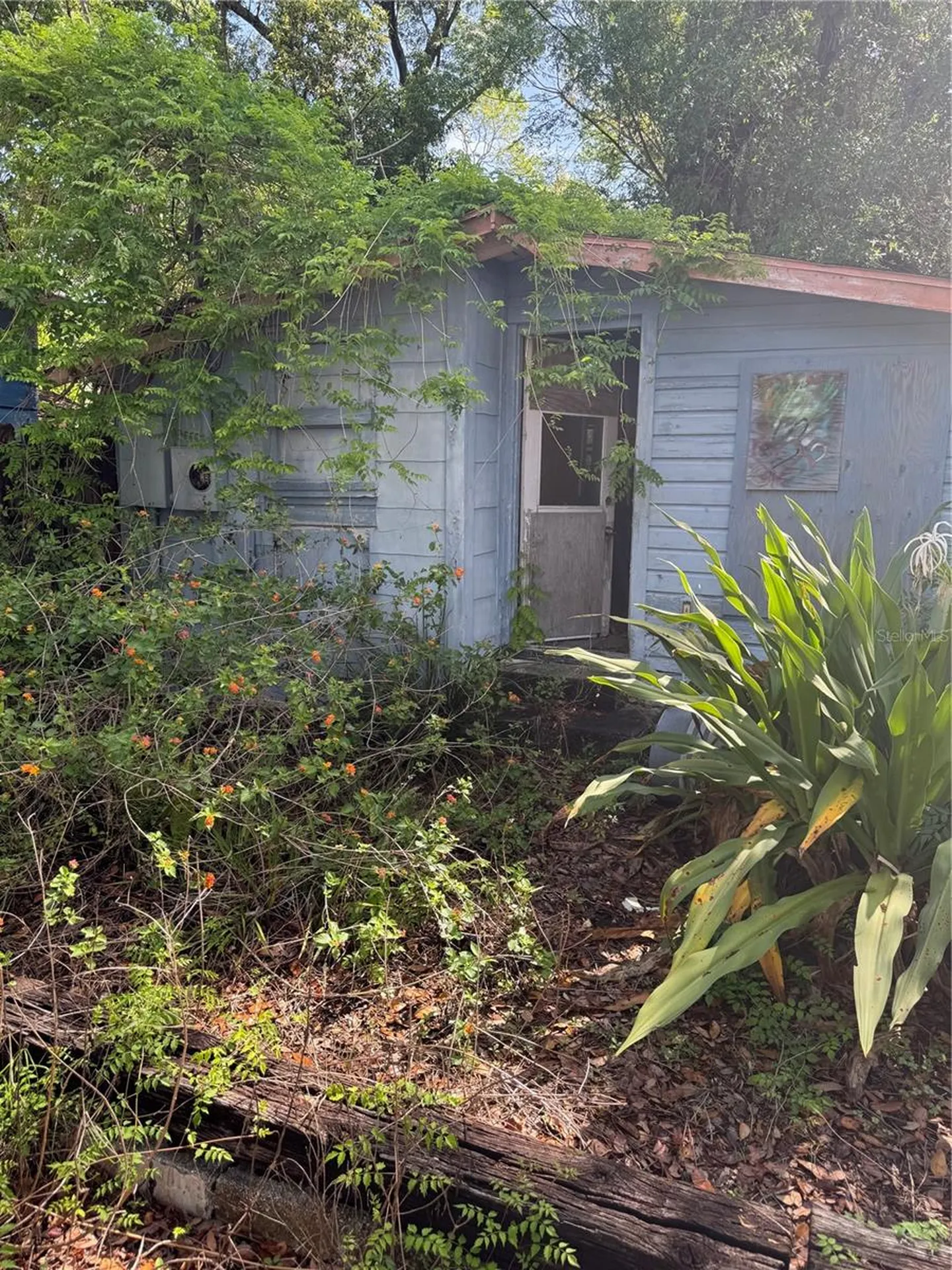 707 S Prospect Avenue Clearwater FL 33756