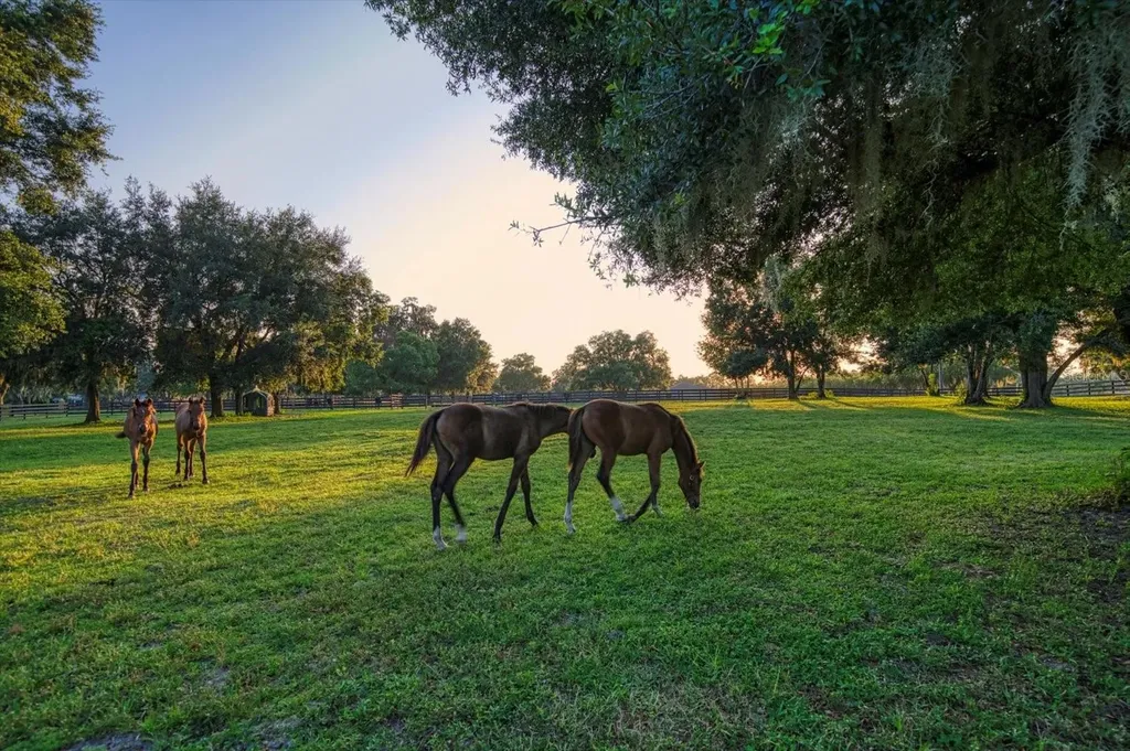 7650 N Whippoorwill Terrace Hernando FL 34442