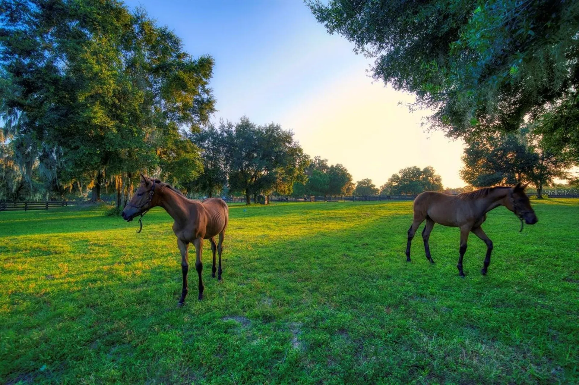 7650 N Whippoorwill Terrace Hernando FL 34442