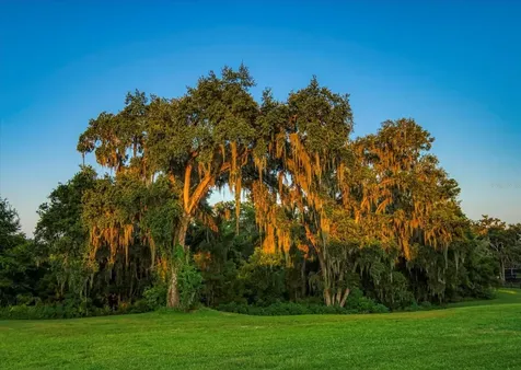 7650 N Whippoorwill Terrace Hernando FL 34442