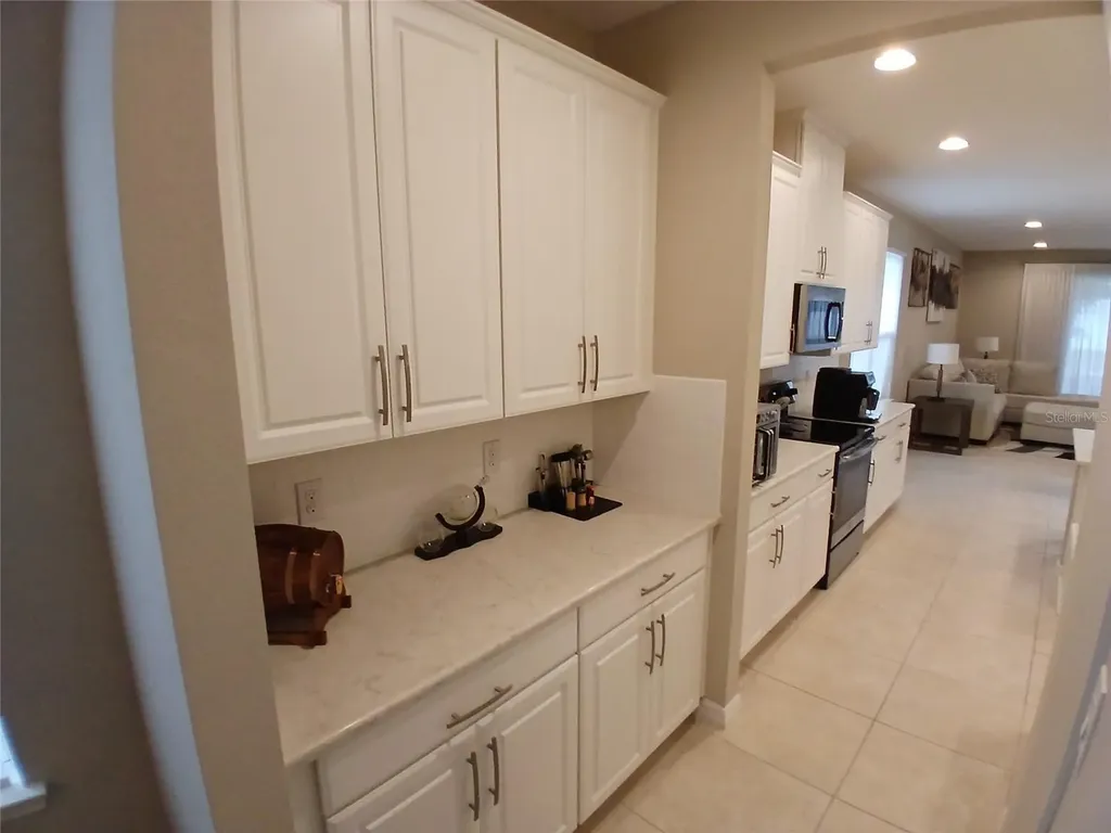 29900 Walsh Oak Drive Wesley Chapel FL 33545