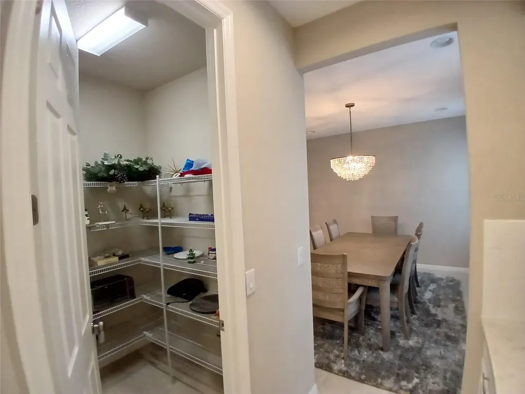 29900 Walsh Oak Drive Wesley Chapel FL 33545