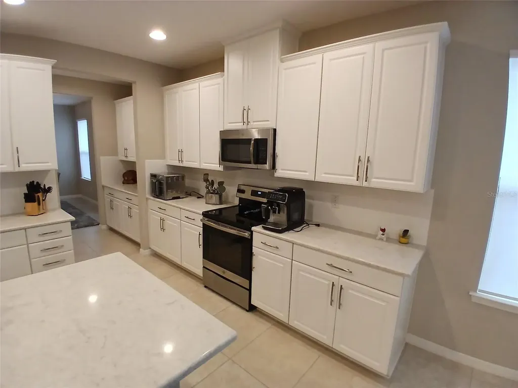 29900 Walsh Oak Drive Wesley Chapel FL 33545