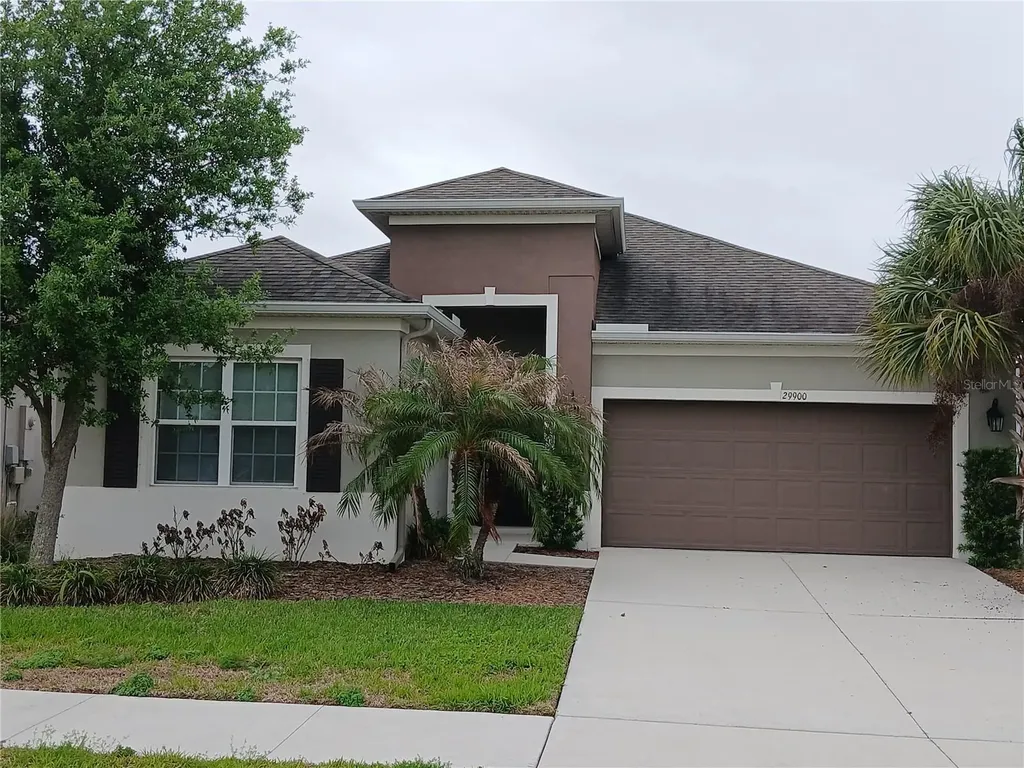 29900 Walsh Oak Drive Wesley Chapel FL 33545