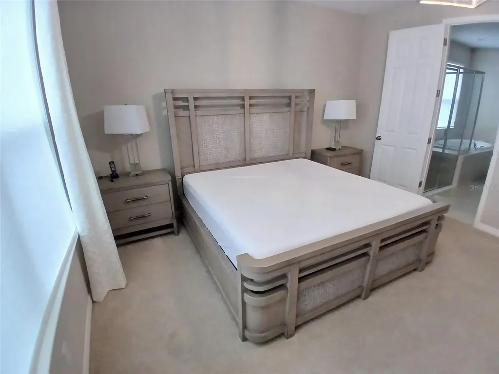 29900 Walsh Oak Drive Wesley Chapel FL 33545