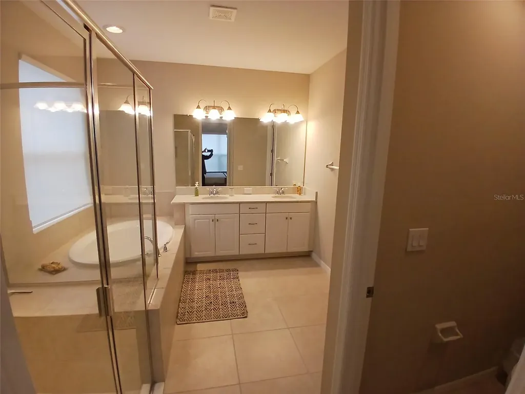 29900 Walsh Oak Drive Wesley Chapel FL 33545