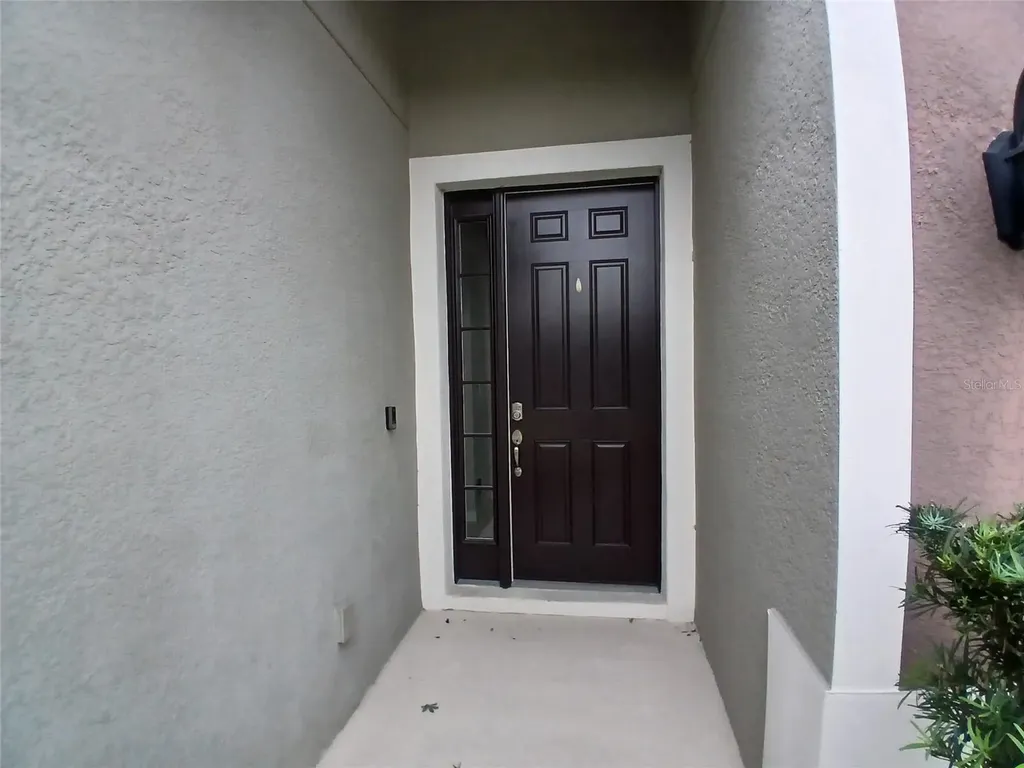 29900 Walsh Oak Drive Wesley Chapel FL 33545