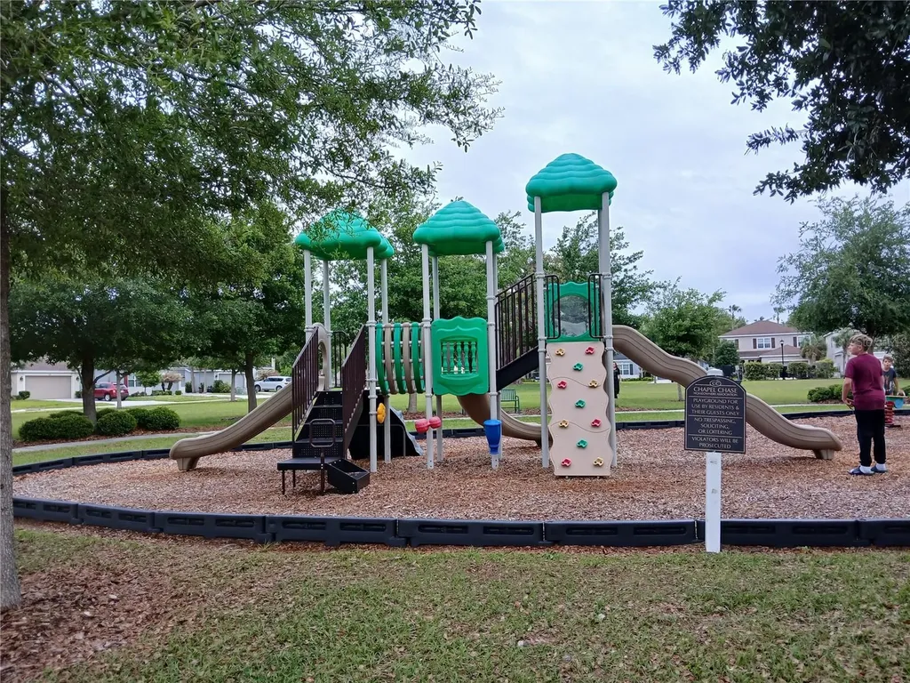 29900 Walsh Oak Drive Wesley Chapel FL 33545