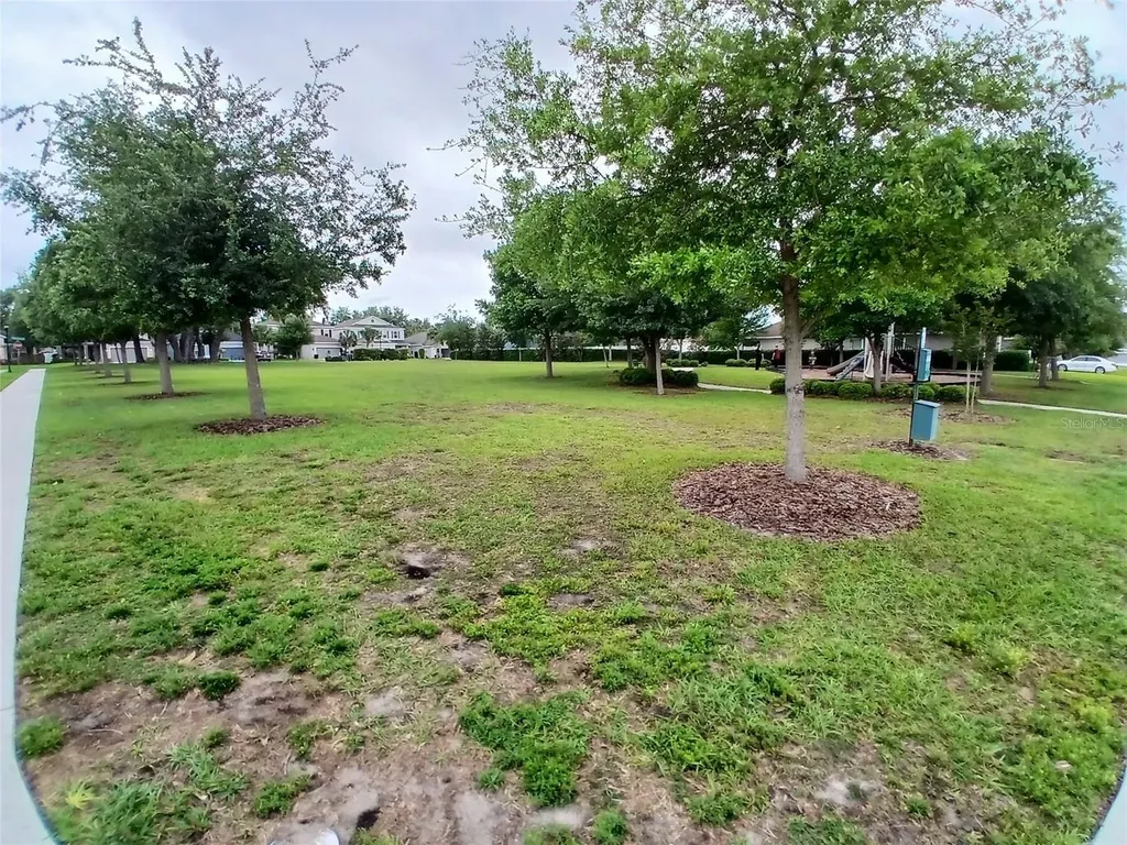 29900 Walsh Oak Drive Wesley Chapel FL 33545