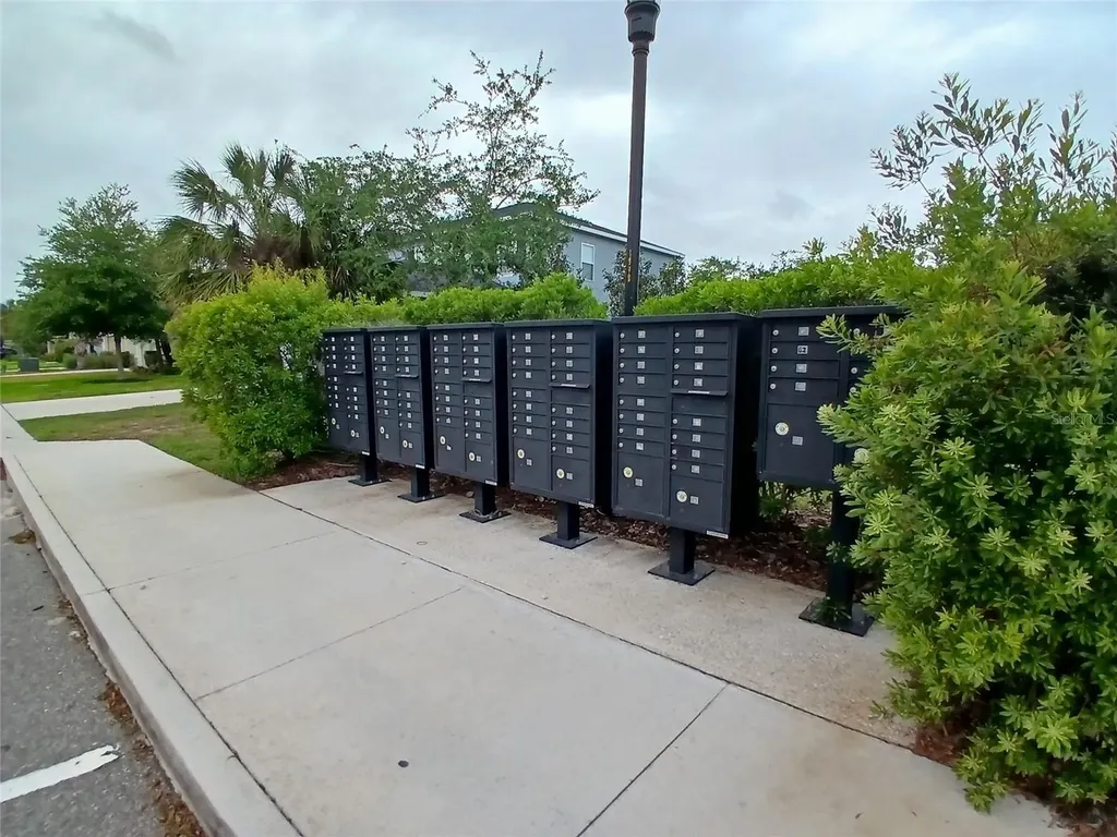 29900 Walsh Oak Drive Wesley Chapel FL 33545