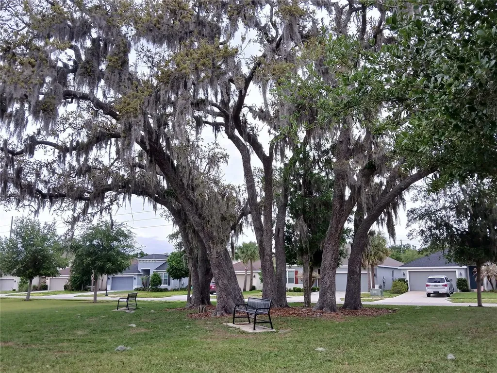 29900 Walsh Oak Drive Wesley Chapel FL 33545