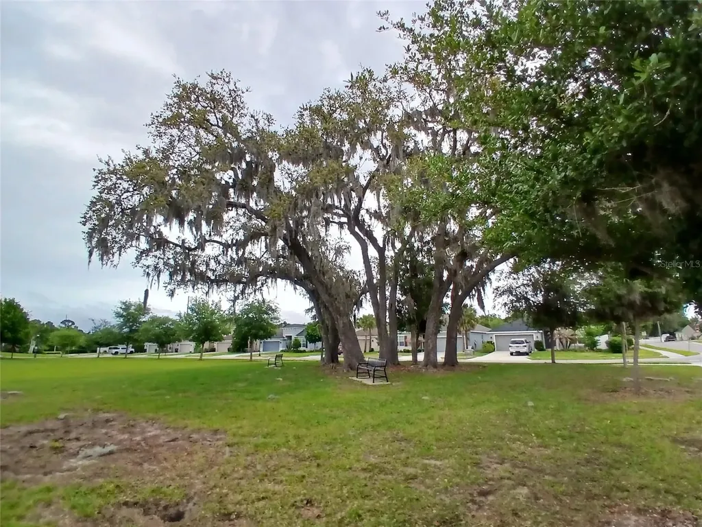 29900 Walsh Oak Drive Wesley Chapel FL 33545