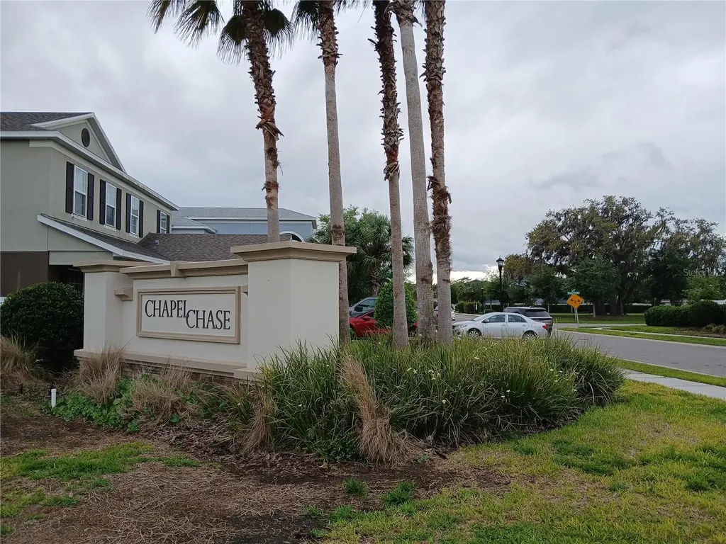 29900 Walsh Oak Drive Wesley Chapel FL 33545