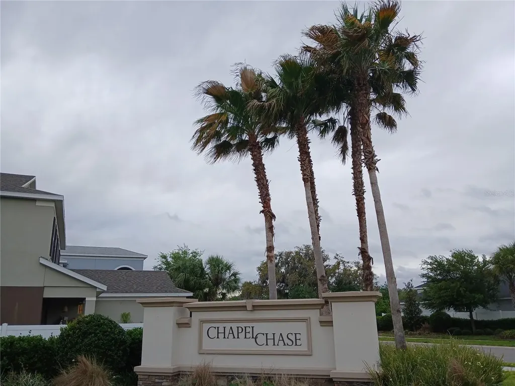 29900 Walsh Oak Drive Wesley Chapel FL 33545