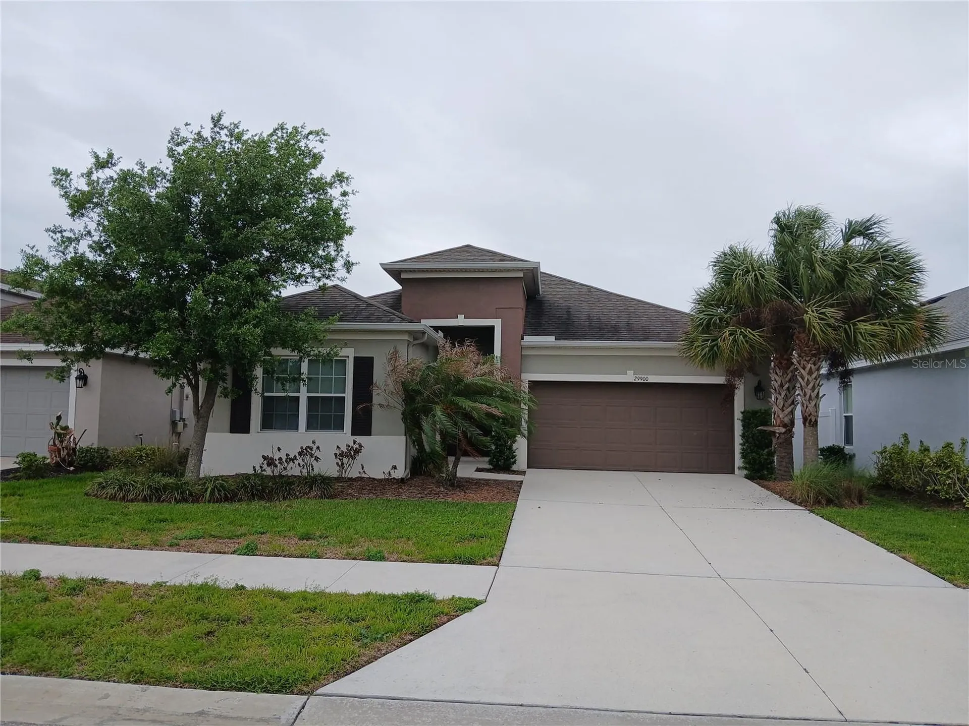29900 Walsh Oak Drive Wesley Chapel FL 33545