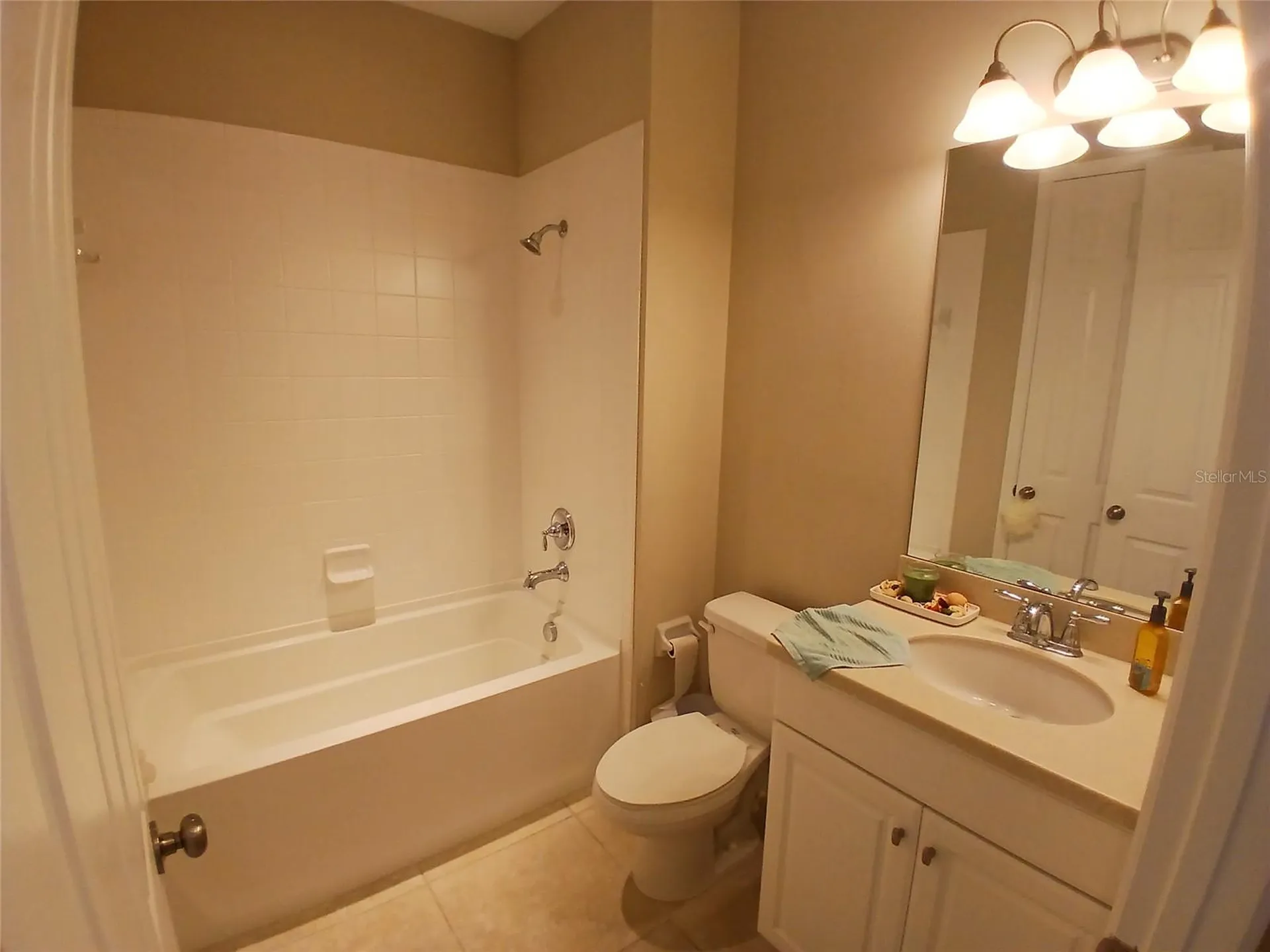 29900 Walsh Oak Drive Wesley Chapel FL 33545