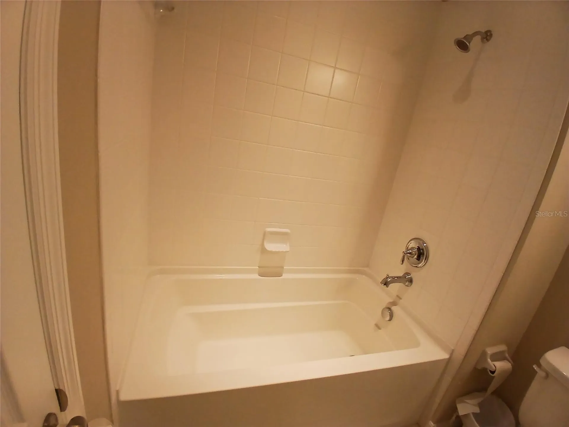 29900 Walsh Oak Drive Wesley Chapel FL 33545