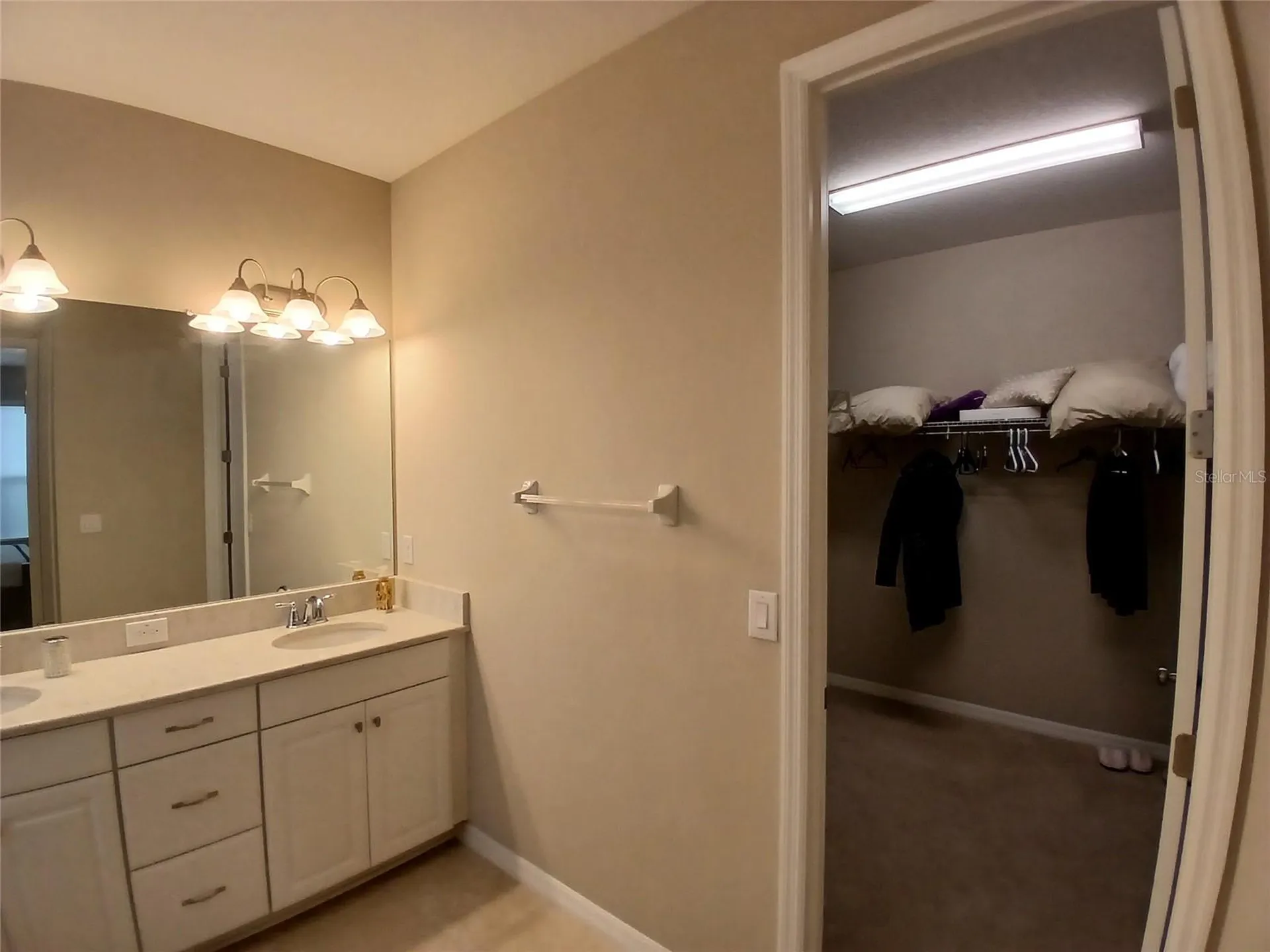 29900 Walsh Oak Drive Wesley Chapel FL 33545