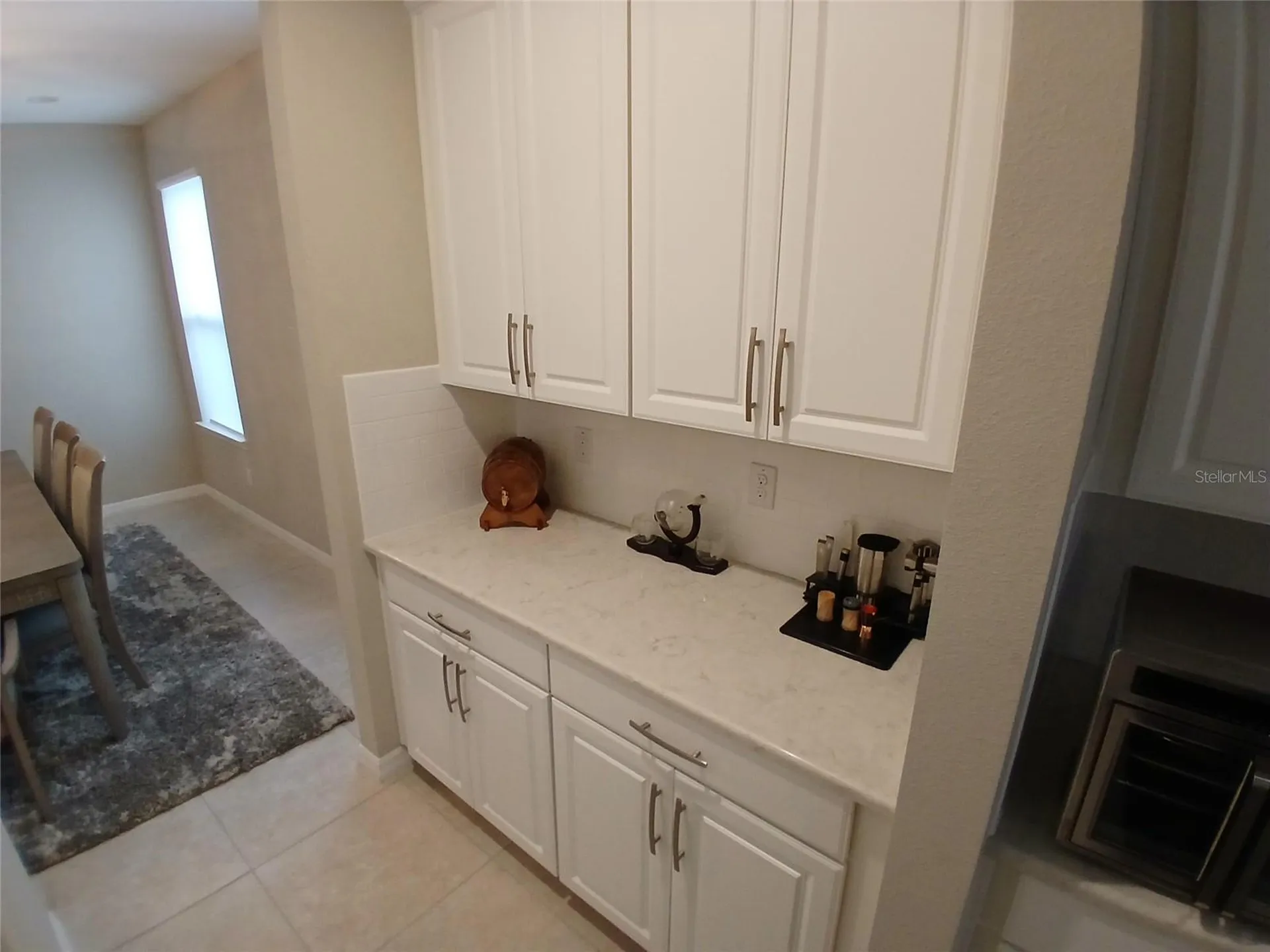 29900 Walsh Oak Drive Wesley Chapel FL 33545