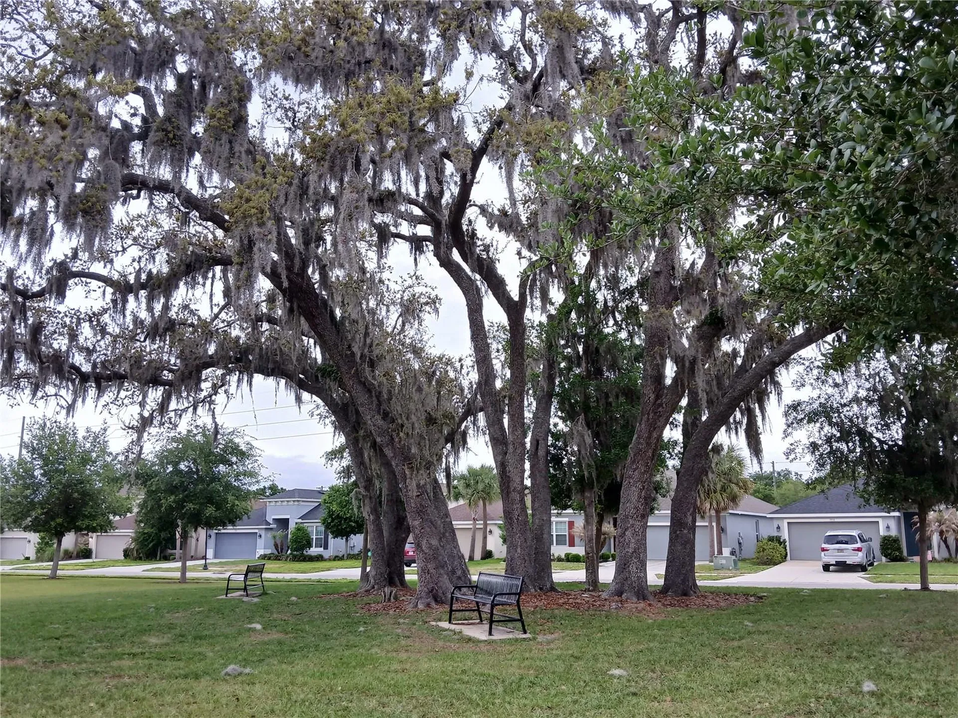 29900 Walsh Oak Drive Wesley Chapel FL 33545