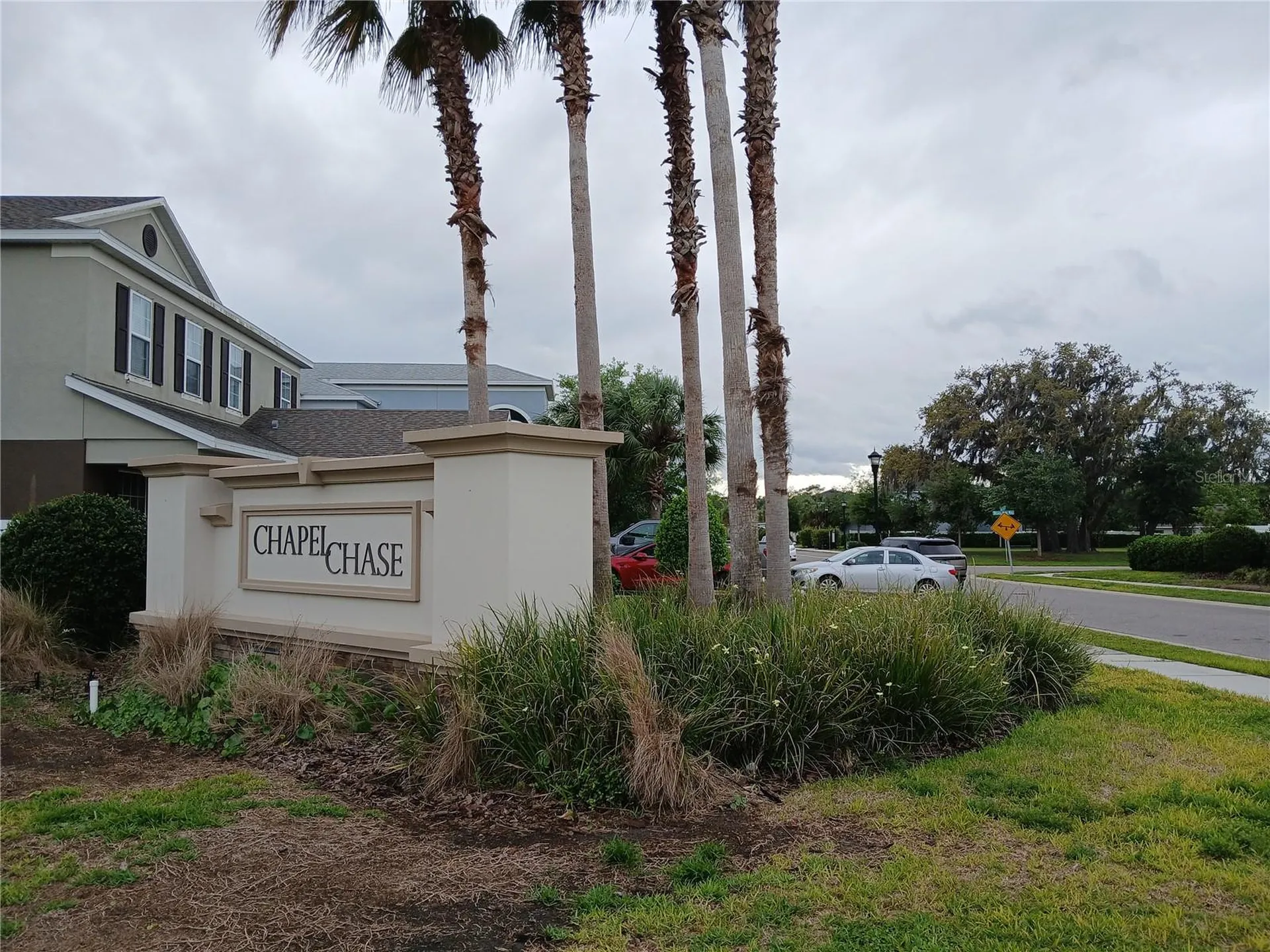 29900 Walsh Oak Drive Wesley Chapel FL 33545