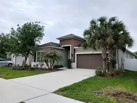 29900 Walsh Oak Drive Wesley Chapel FL 33545