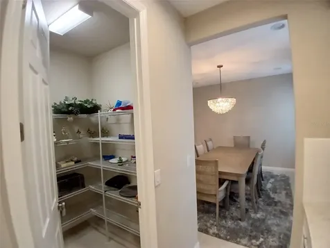 29900 Walsh Oak Drive Wesley Chapel FL 33545