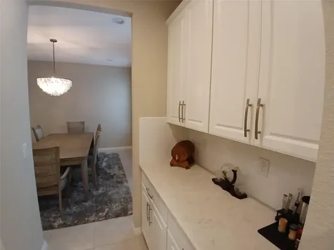 29900 Walsh Oak Drive Wesley Chapel FL 33545