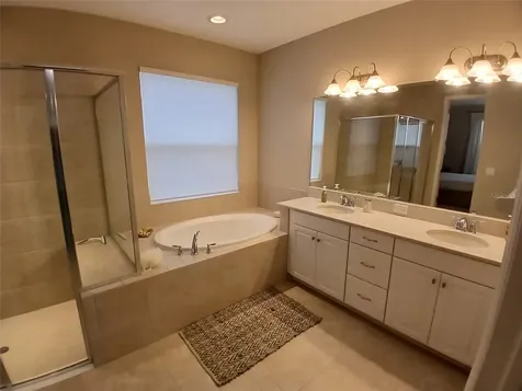 29900 Walsh Oak Drive Wesley Chapel FL 33545