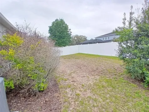 29900 Walsh Oak Drive Wesley Chapel FL 33545