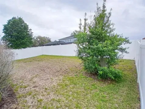 29900 Walsh Oak Drive Wesley Chapel FL 33545