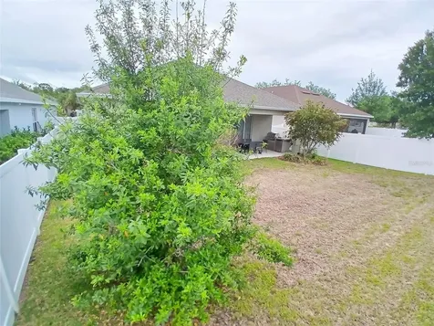 29900 Walsh Oak Drive Wesley Chapel FL 33545