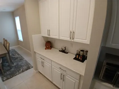 29900 Walsh Oak Drive Wesley Chapel FL 33545