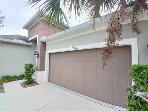 29900 Walsh Oak Drive Wesley Chapel FL 33545