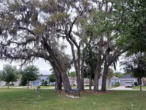 29900 Walsh Oak Drive Wesley Chapel FL 33545