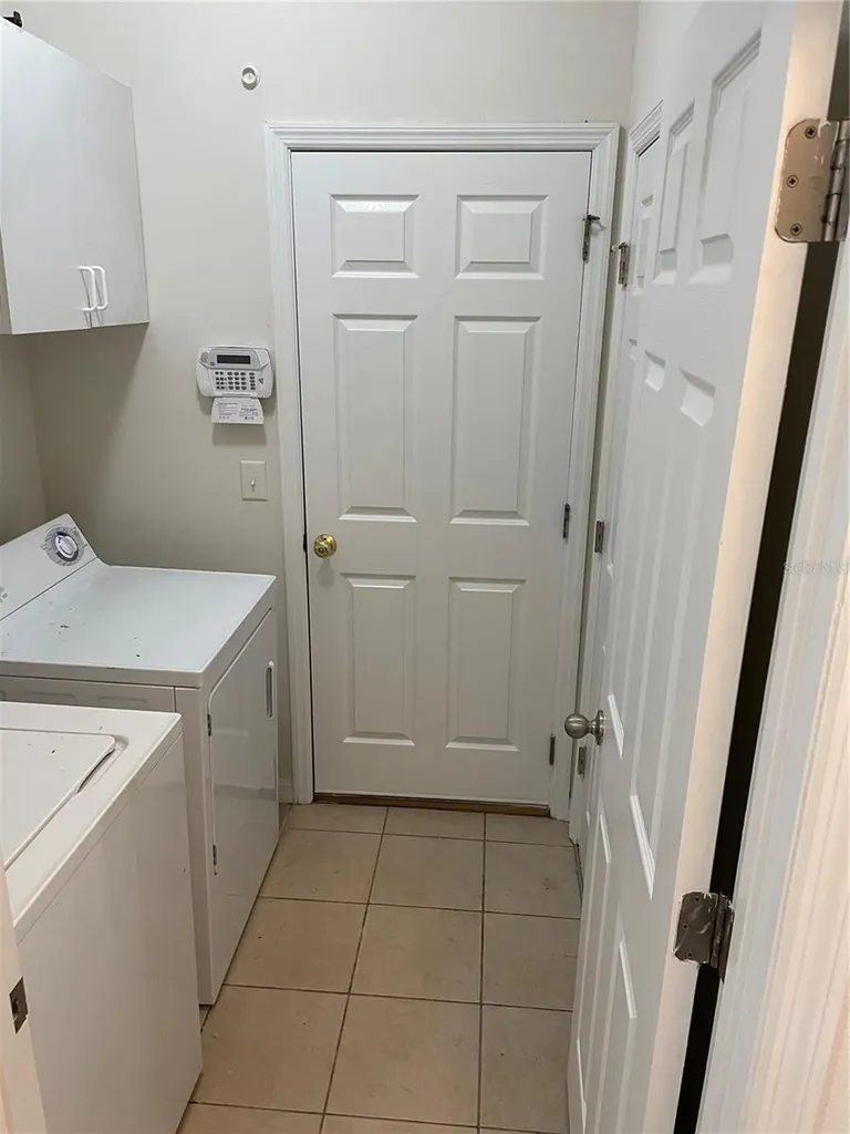 10117 Celtic Ash Drive Ruskin FL 33573