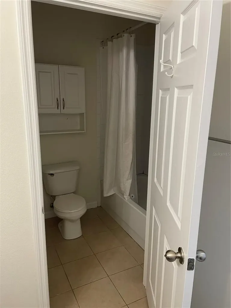 10117 Celtic Ash Drive Ruskin FL 33573
